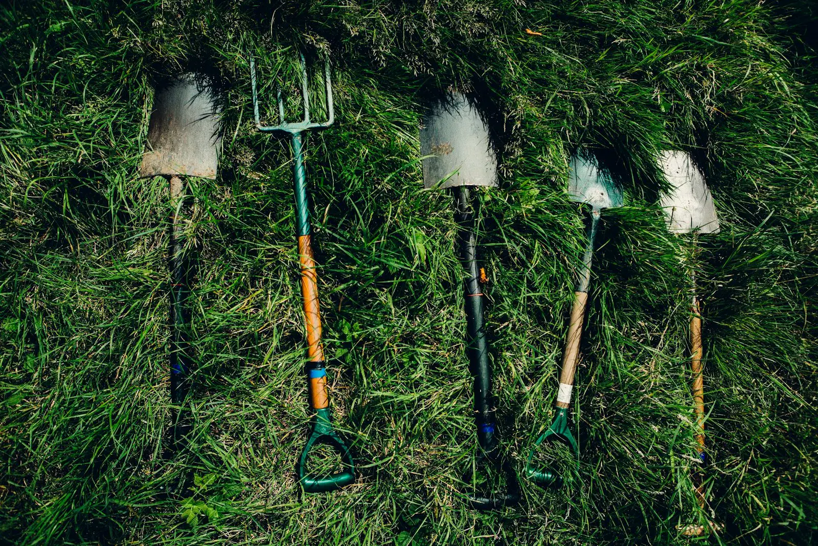 Garden digging tools laid out on grass